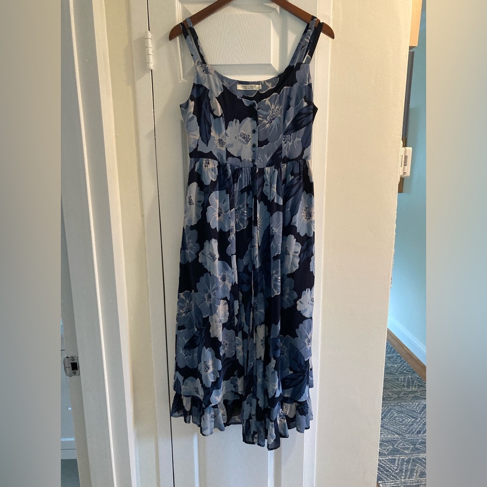 Christy Dawn Nicks dress
